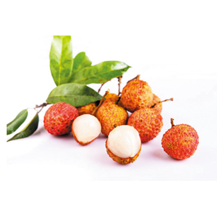 产品中心标题一