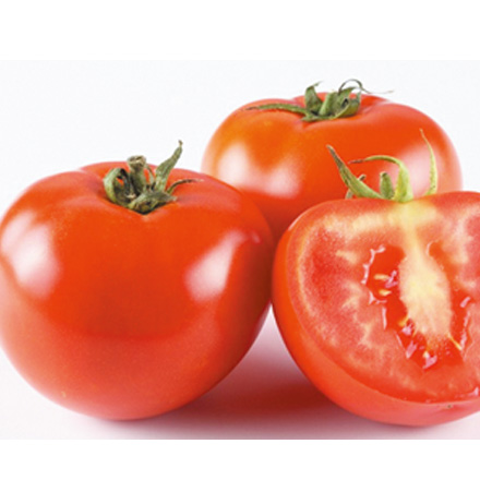 产品中心标题六