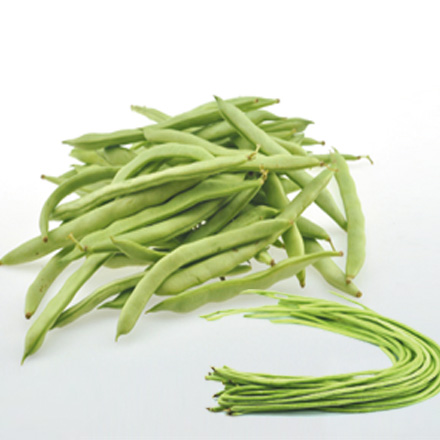 产品中心标题七