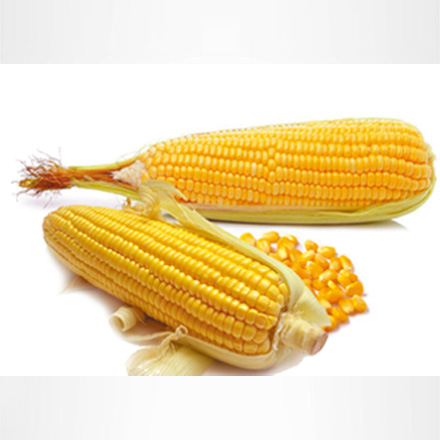 产品中心标题八